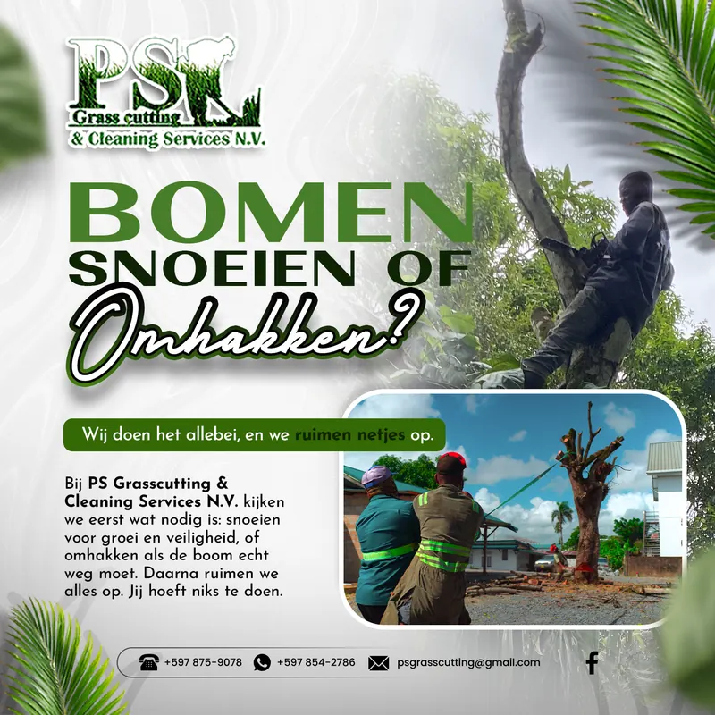 Post voor PS Grasscutting & Cleaning: bomen snoeien of omhakken, met medewerkers aan het werk bij een boom