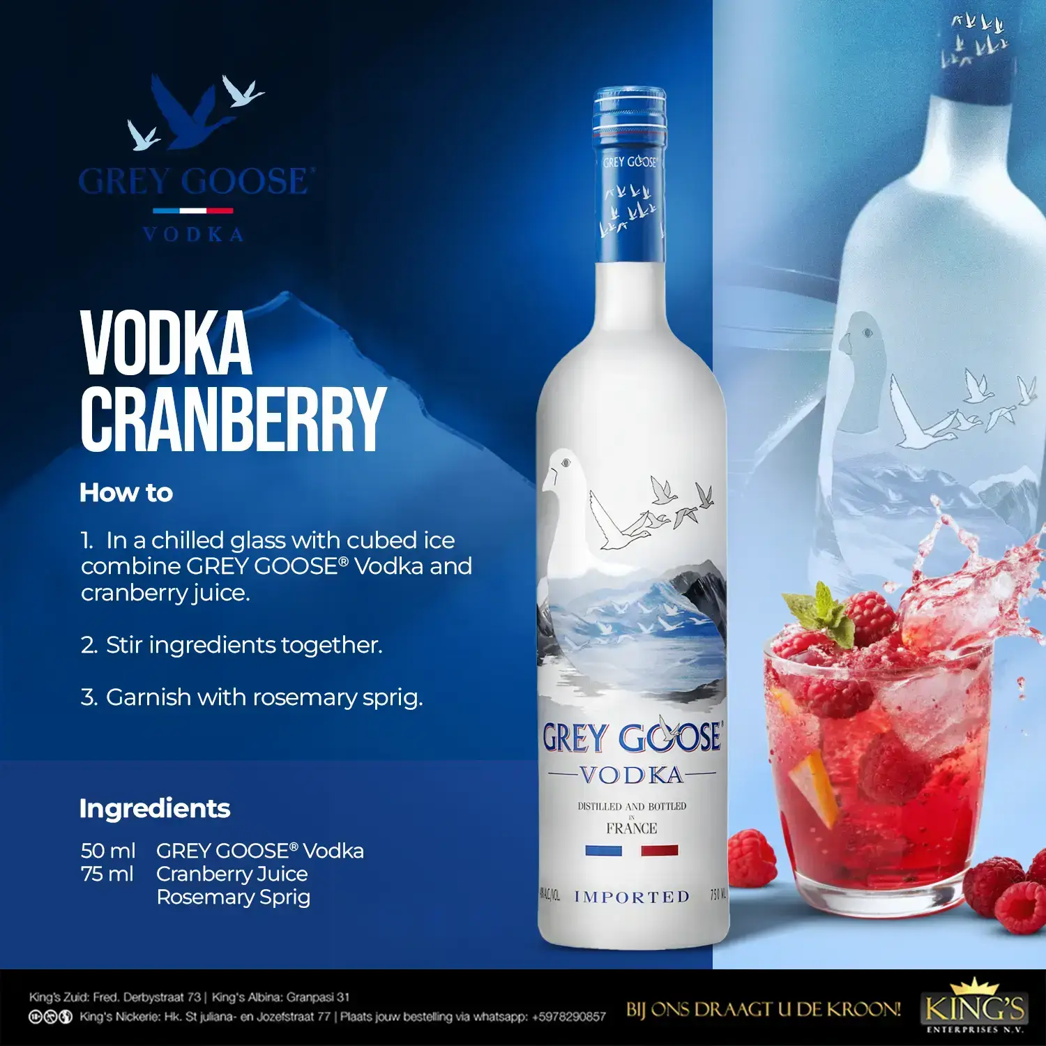 Grey Goose Visual 1 – MEI 23