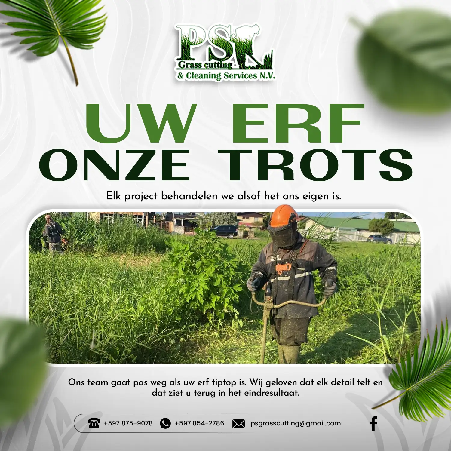 PS Grass Visual 1 – SEP 18